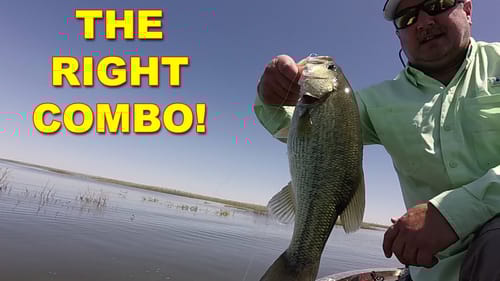 How To Choose The Right Combo: Dropshot (Rod, Reel, Line, Hook, & Weight) | Bass Fishing