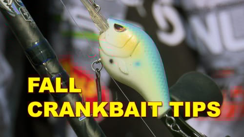 Fall Bass Fishing with Crankbaits | How To | Bass Fishing