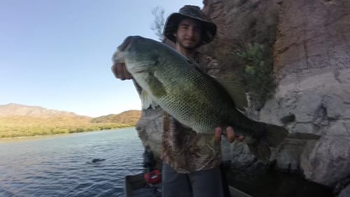 Big Bass Blows Up On A Big Swimbait!