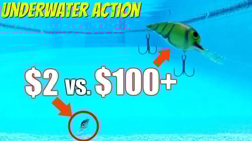 CHEAP vs EXPENSIVE Wiggle Wart Style Baits!!! (UNDERWATER Testing)