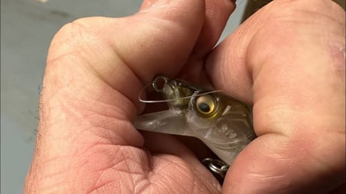 This NEW Lure Color Is THE Most Closely Guarded Secret Among Professional Bass Anglers…