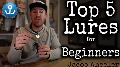 Top 5 Lures for Beginner Fishermen