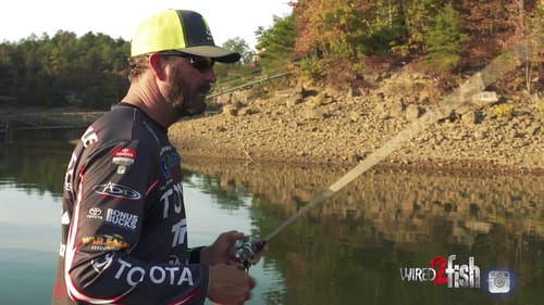 GMAN Talks Targeting Spotted Bass in the Shallows