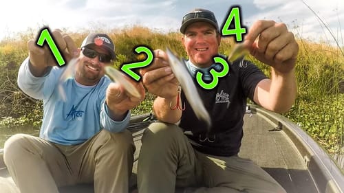 Forgotten Topwaters That Catch Bass In Fall