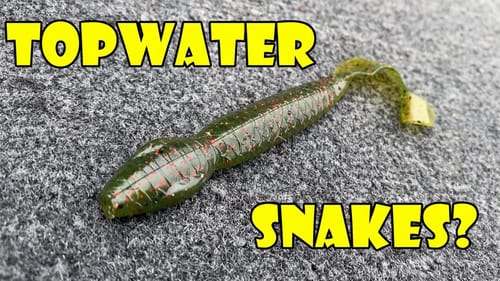 Speed Worms For Summer Bass