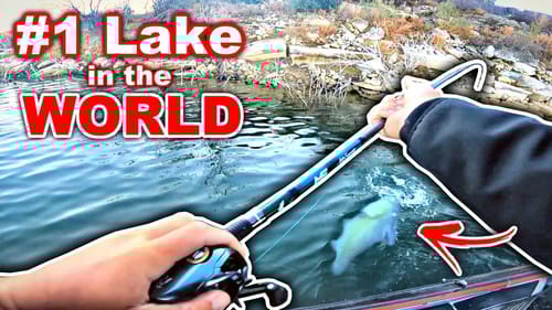 Fisherman from Around the WORLD are Flocking Here to Catch THESE Fish!!
