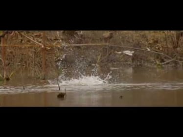 A bass jumps off Jeff Kriet's hook -- slow motion!