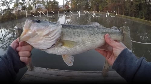 Two days & Pond fishing #3