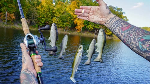 Fishing The MEGARIG || 5 BIG Swimbaits On Alabama Rig