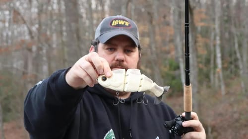 New Lake and Big Swimbaits