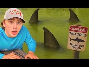 My Pond is Infested with Sharks!