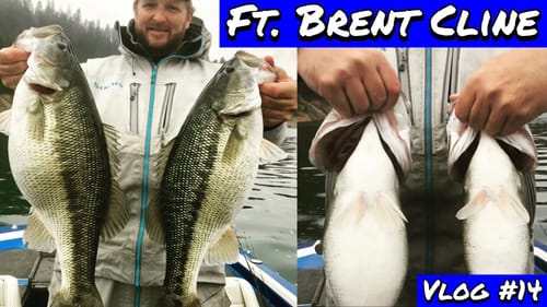 Mentors & Influences ft. Brent Cline | Vlog #14