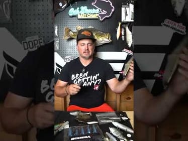 My Top Big Baits In Cold Water