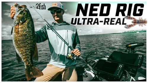 Ned Rig Smallmouth Bass | Underwater Crawfish Lure EATS‼️