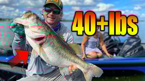 Bass of a LIFETIME ~ 41lbs 5 Fish