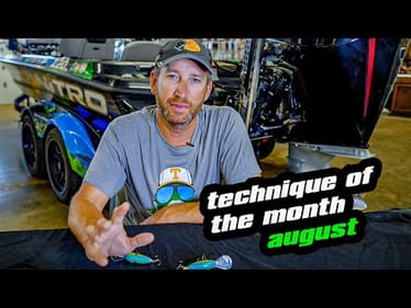 Technique of the Month I August I Evening Bite