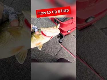 Lipless CRANKBAITS are the Perfect Lure Right NOW!