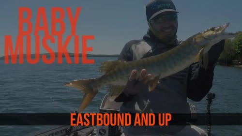 Musky & Smallmouth Fishing in the Midwest