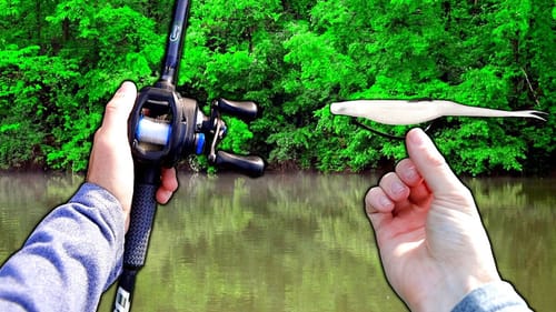 Fluke ONLY Day of Bass Fishing!