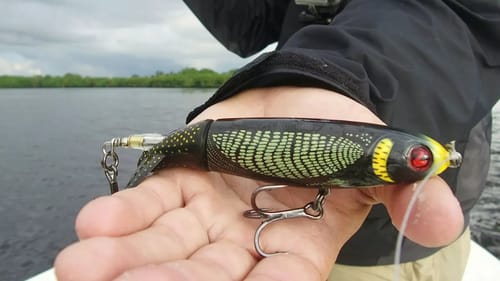 Saltwater Whopper Plopper Challenge
