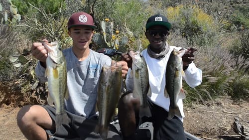 We Sacked Them Up! Spring Time Crankbait Bass!
