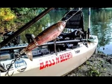 SMALL MOUTH BASS (CRUSH) The WHOPPER PLOPPER