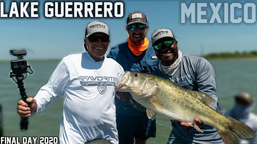 MDJ catches a 10 POUNDER out of a HUGE Tree in 30+ Feet of Water