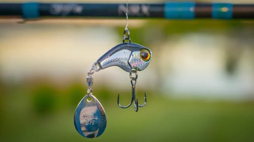 Where Do Bass Go In Fall? (And How To Catch Them!)