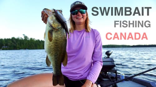 Big Swimbait Fishing!! - Summertime Heat & Glidebait Bites!