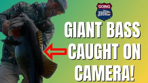 GIANT BASS CAUGHT ON CAMERA (2021 Compilation)