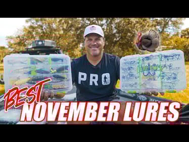 BEST Fishing Lures for NOVEMBER