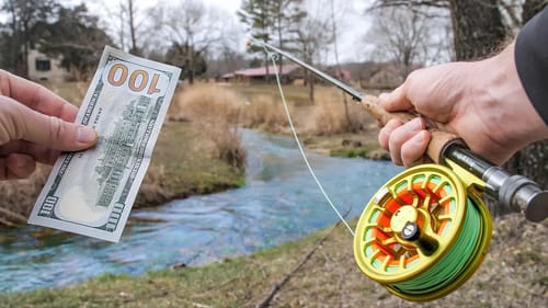 I Paid $50 to Fish This TINY CREEK!!! (BIGGEST Fish of the YEAR!)