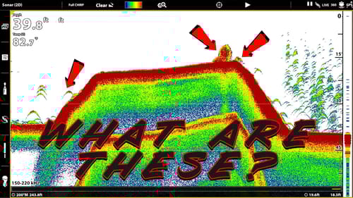 Fish Finder Explained For Beginners: Sonar, Side Imaging, Down Imaging, Mapping Tricks