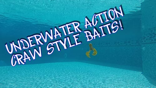 UNDERWATER ACTION: CRAW-FISH STYLE BAITS!!!