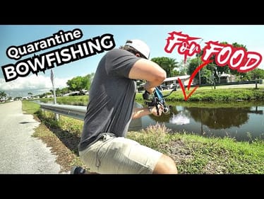 Quarantine Bow-Fishing For Food in the City
