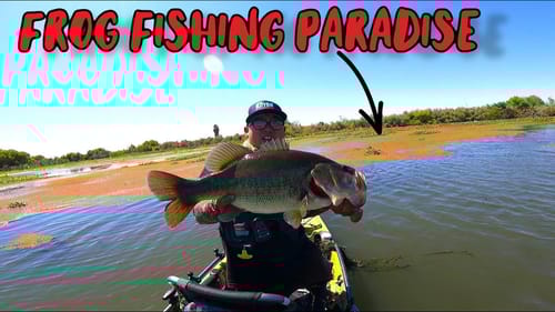 Epic Frog Fishing Day(Non Stop Action)