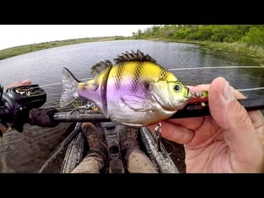 Fishing A Bluegill Lure For Lake Monsters!