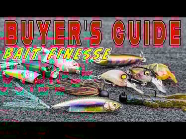 BUYER'S GUIDE: BAIT FINESSE BAITS (SOFT AND HARD BAITS FOR BFS FISHING)