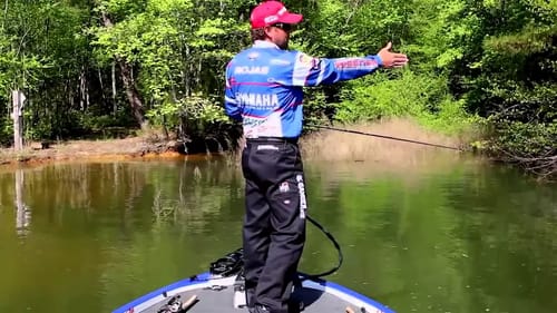 Conditions for Fishing Frogs