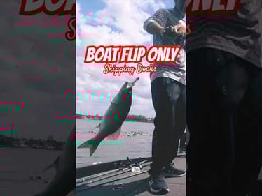 Back to Back 🎣 Skipping Docks Harris Chain #short #bassfishing #boatfliponly