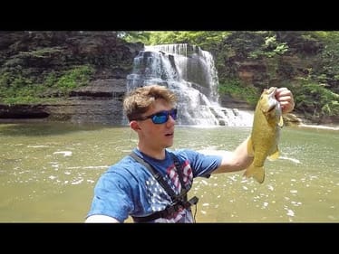 We Found a RARE Fish In The Creeks-- Fishing Giant Waterfalls