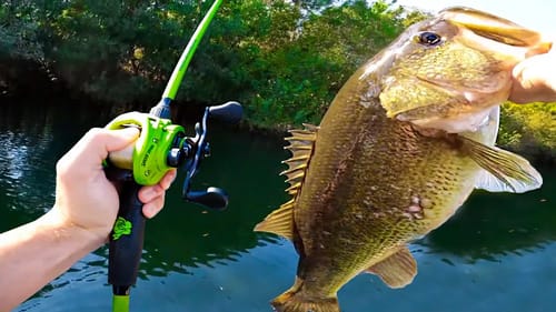 My BIGGEST Bass of the Year! (ft. @1Rod1ReelFishing )