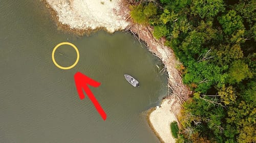 MOST Fisherman IGNORE This In LOW Water (Bass Fishing Tips)