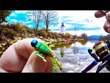 It Doesn't Matter Big Or Small This Tiny Fishing Bait Will Catch Them All!
