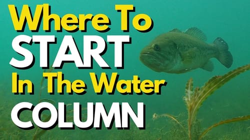 The FACTOR That Drives Where to Start in the Water Column | Bass Fishing Tips