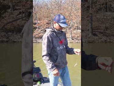 Catch More Fish With the RIGHT Jig Head Weight!