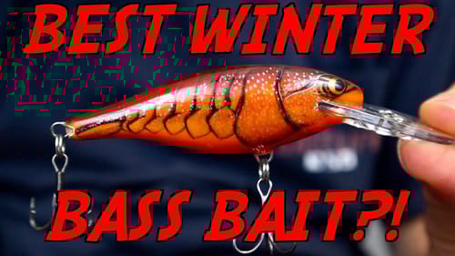 The MOST OVERLOOKED Bait for Winter Bass Fishing!