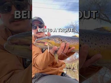 Catching My PB Brown Trout In THIS Tiny Creek! #fishing #fishingvideos