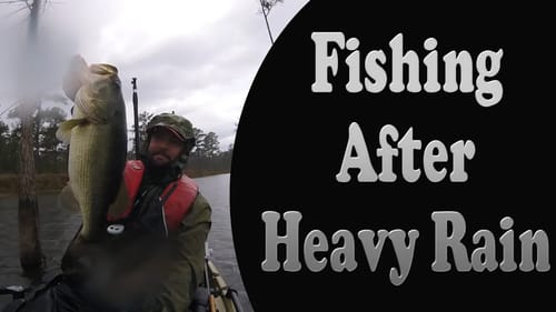 Bass Fishing After a Heavy Rain