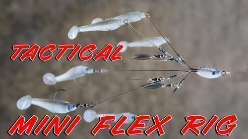 Tactical Bassin’s Latest Lure Design! The Tactical MINI Flex Rig! (How To Fish and Rig)